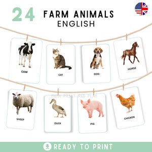 FARM ANIMALS • 24 Montessori Cards • FlashCards PDF Printable Cards preschool • Educational animals flashcards • Instant download