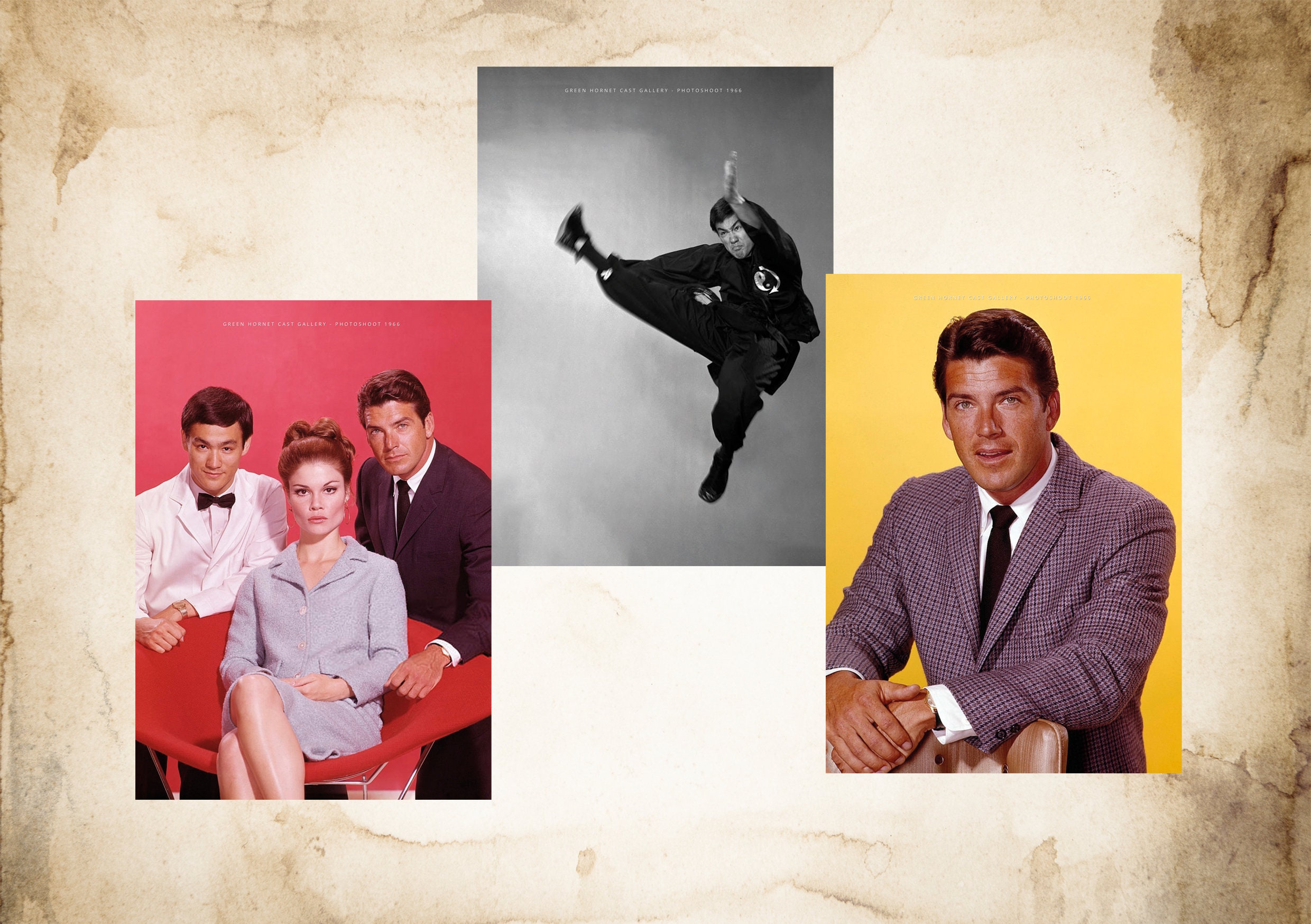 Bruce Lee the Green Cast Gallery Photoshoot 1966 Book Etsy