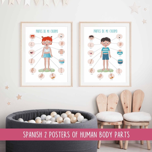 Spanish Set of 2 posters of human body parts Preschool and Primary Education Toddler Playroom Montessori Classroom deco, Digital Download