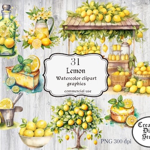 Watercolor, Lemon Clipart, Lemon, Citrus, Clipart Bundle, digital png, lemonade, citrus fruit, graphics, instant download, commercial use