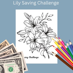 Lily Savings Challenge