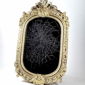 REAL Preserved Spider Web - Gold Ornate Frame