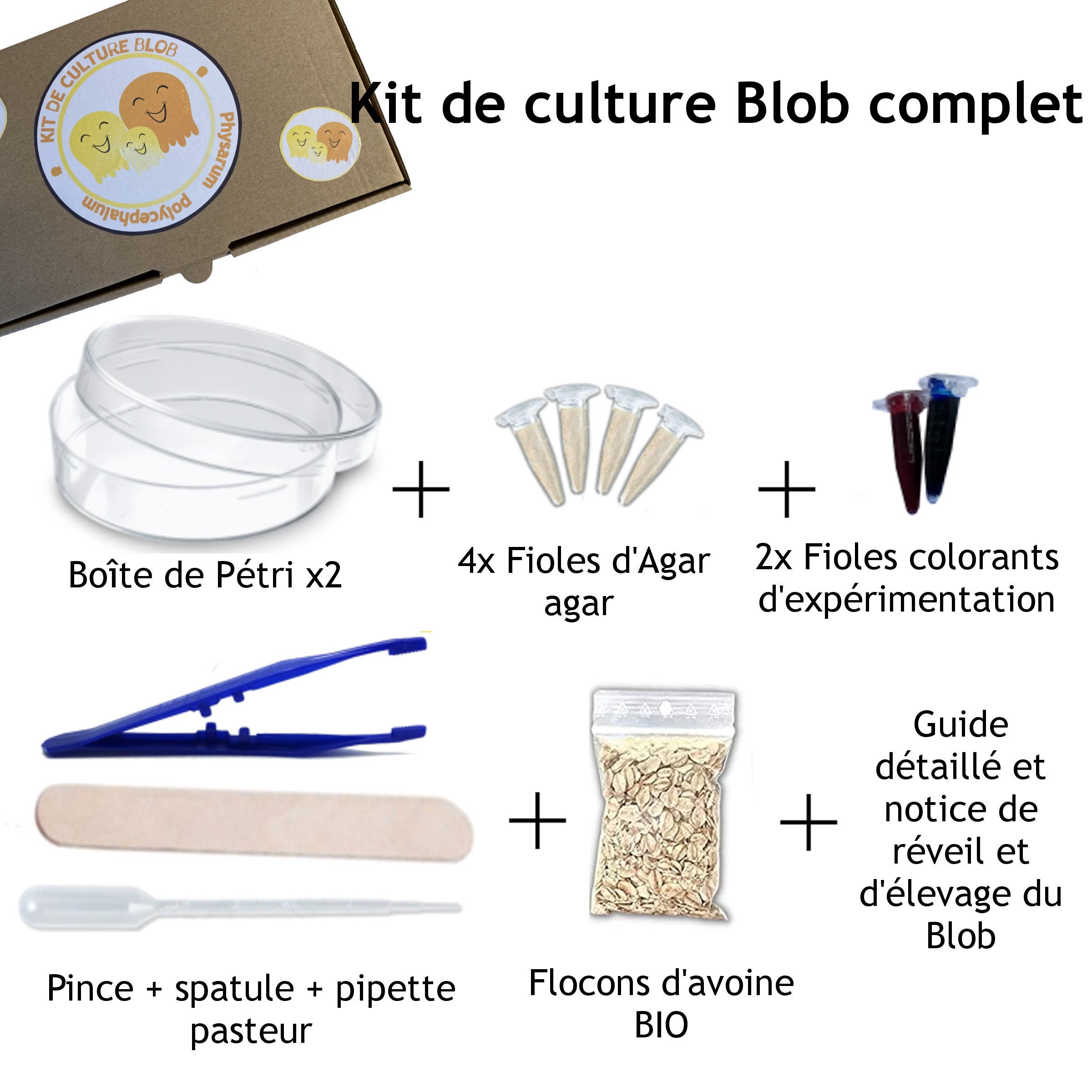 Kit de culture de blob - Les Raffineurs
