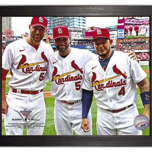 The St Louis Cardinals Albert Pujols 702 Home Runs In MLB Home Decor Poster  Canvas - REVER LAVIE