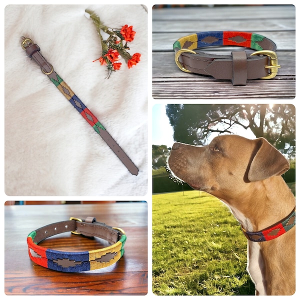 Polo Embroidered Style Argentine Leather dog Pet Animal Collar Leads All dogs