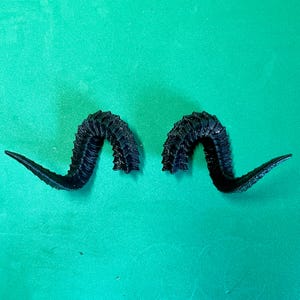 3D-geprinte cosplayhoorns: duivels- en geitenhoorns van hars