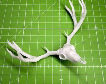 Stag Skull Miniature, Unpainted White Resin Deer Antlers, 1:12 Scale + 1/24 1/6 1/4