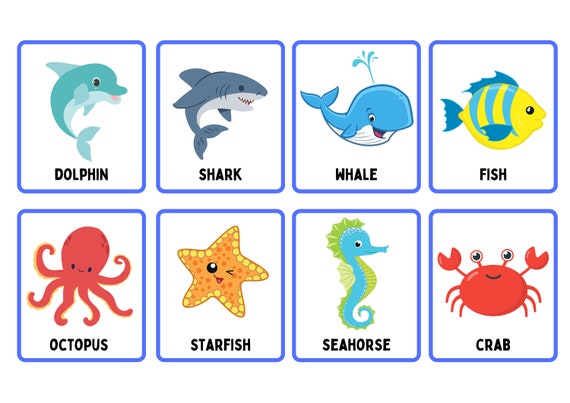 16 Sea Animal Flashcards Printable Ocean Cute Animals Montessori