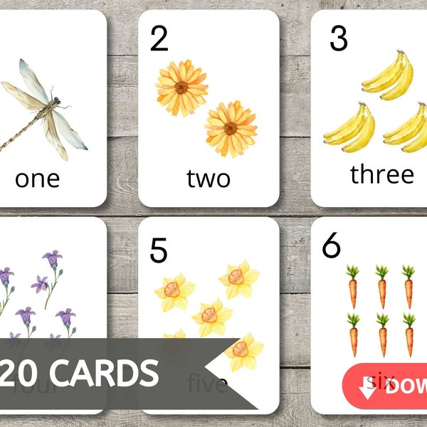 Watercolor Nature Themed Number Flashcards Counting 1-20 Montessori Printable Cards Digital Download PDF Homeschool Classroom Learning Math