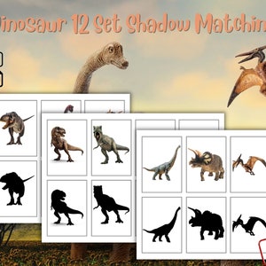 Dinosaur Shadow Matching Printable Montessori Flashcards Digital Download Educational Learning Activity For Kids Toddler Teacher Resources