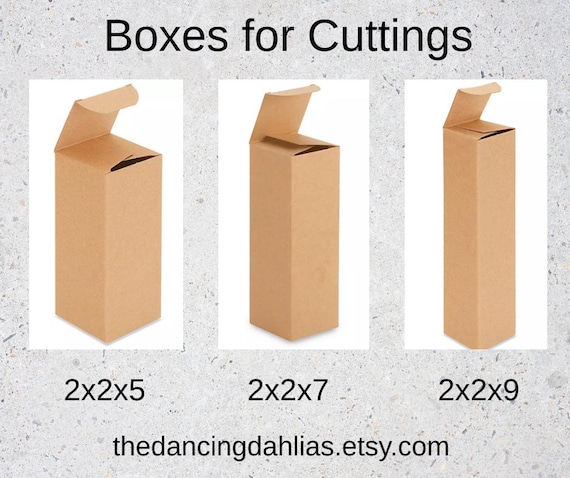 Eco-Friendly Cardboard Boxes for Dahlia Cuttings –  2x2x7 Sizes, Safe & Lightweight