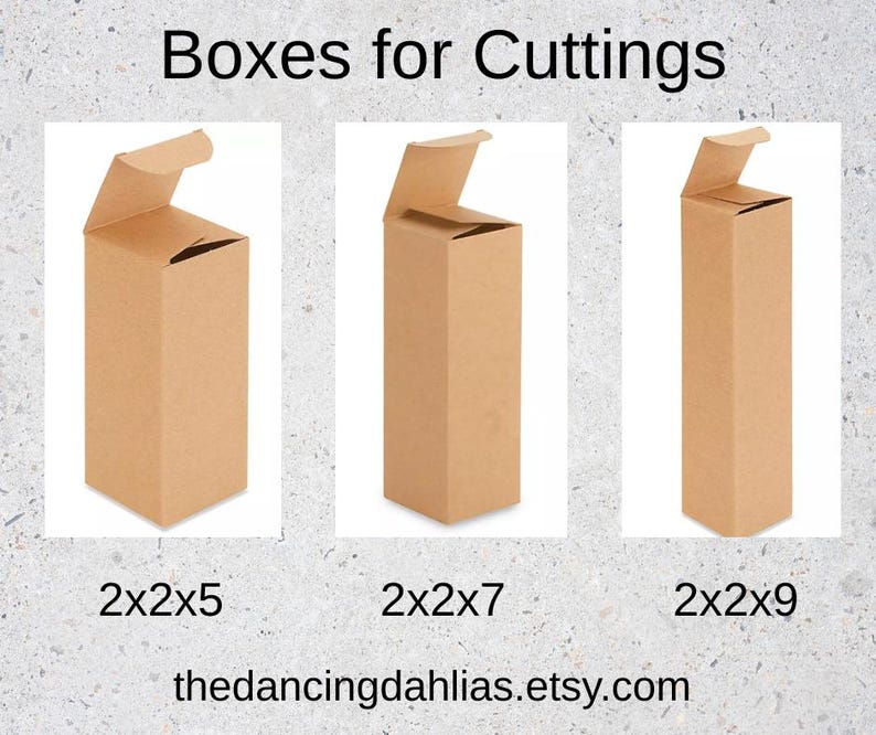 May include: Three brown cardboard boxes with open flaps, labeled 2x2x5, 2x2x7, and 2x2x9. The text "Boxes for Cuttings" is at the top. The Etsy shop name "thedancingdahlias.etsy.com" is at the bottom.
