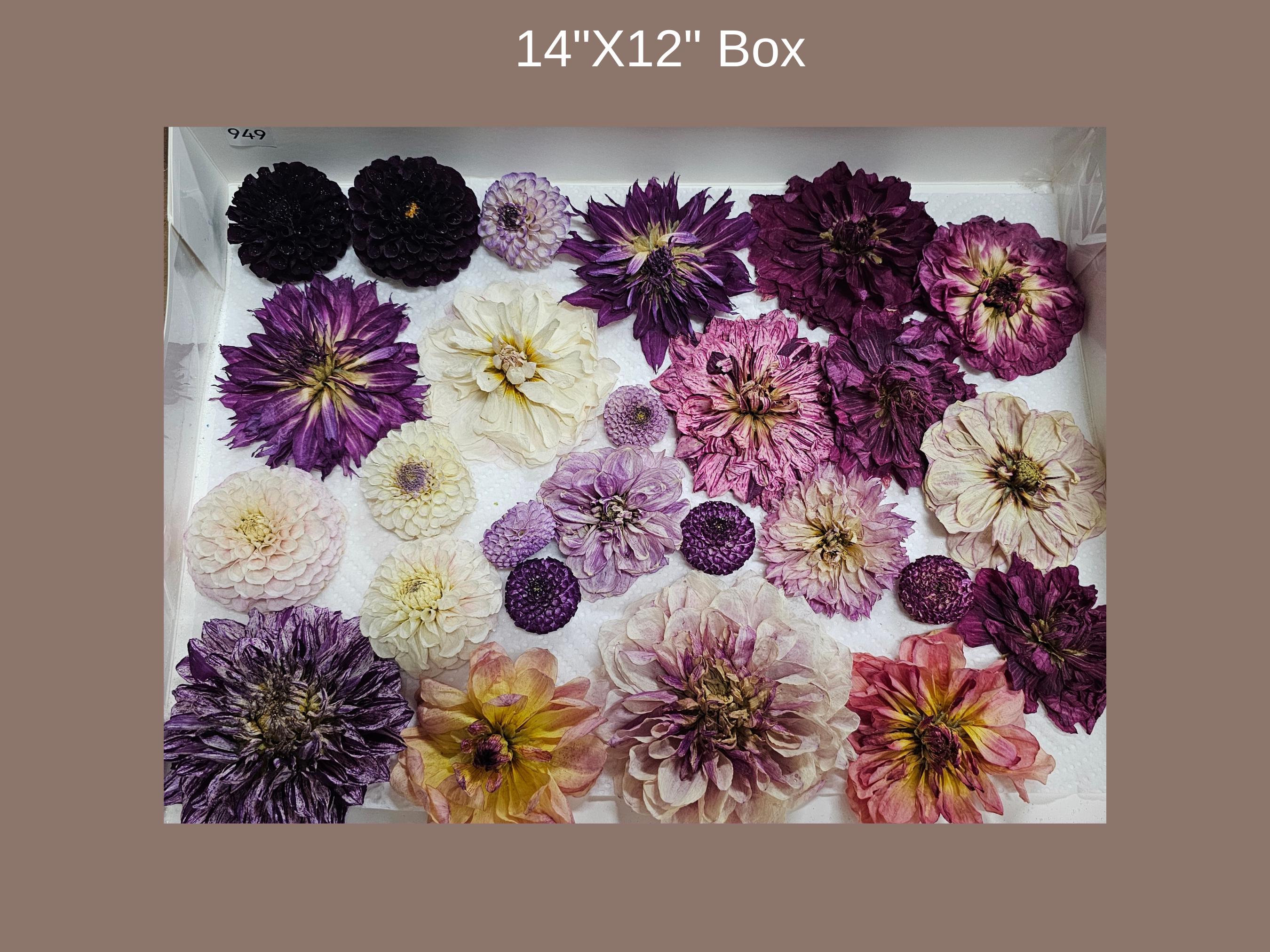 Dried Dahlia Heads - #949- Mixed Colors, Resin Crafts, Wreath