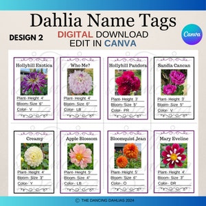 Dahlie ID Tag Vorlage, Design 2, bearbeitbare Dahlie ID Tags, Canva bearbeitbare Namensschild Vorlage, Pflanzen ID Tags, Sofort Download
