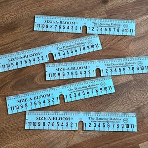May include: Five blue plastic rulers with black markings and the text "SIZE-A-BLOOM" and "The Dancing Dahlias" printed on them. The rulers are marked in inches and centimeters.