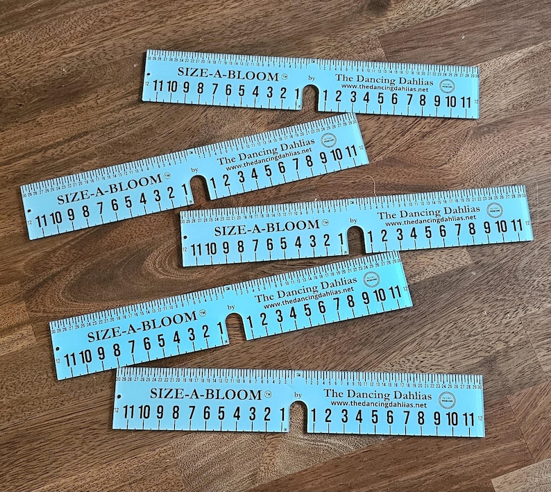 May include: Five blue plastic rulers with black markings and the text "SIZE-A-BLOOM" and "The Dancing Dahlias" printed on them. The rulers are marked in inches and centimeters.
