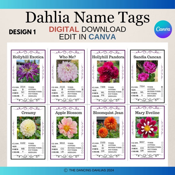 Dahlien-ID-Tag-Vorlage, Design 1, bearbeitbare Dahlien-ID-Tags, Canva bearbeitbare Namensschild-Vorlage, Pflanzen-ID-Tags, sofortiger Download