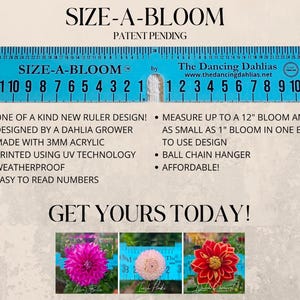 Dahlia Measuring Ruler/ Flower Ruler/Size-A-Bloom/Patent Pending/Bloom Sizing Ruler/Flower Farmer Tool