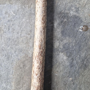 Op de afbeelding: Een cilindervormige houten stok met een lichtbruin, getextureerd schorsoppervlak met een herhalend patroon van kleine, langwerpige en licht verhoogde markeringen. Het object is recht, heeft een uniforme dikte en platte, afgesneden uiteinden.
