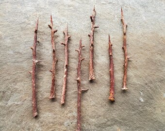 Irish Blackthorn Thorns (10pc)