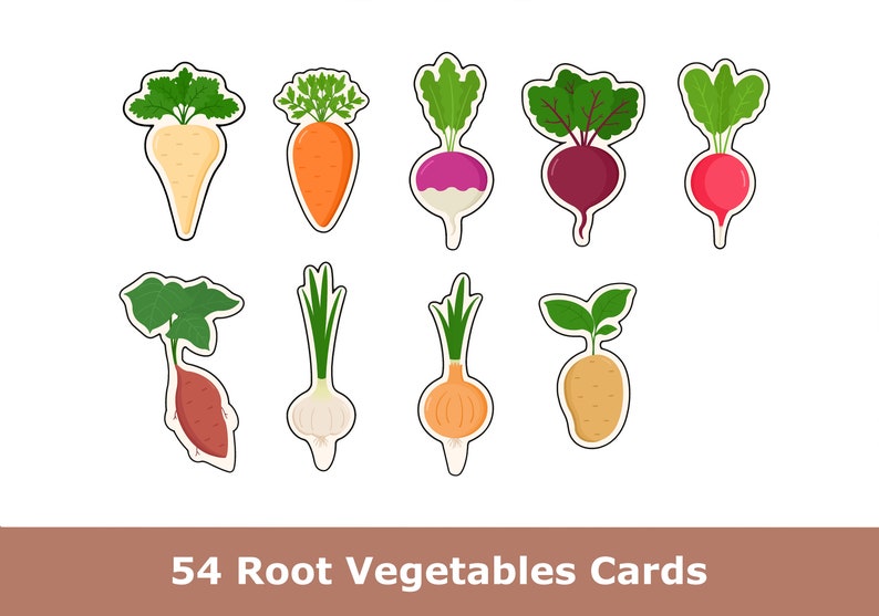Digital Large Flisat Insert, Root Vegetables Pattern Matching Activity ...
