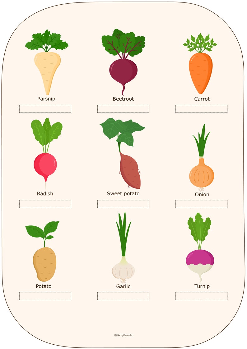 Digital Large Flisat Insert, Root Vegetables Pattern Matching Activity ...
