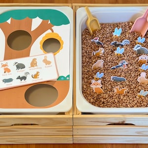 以下が含まれることがあります： 木製の感覚ビンセット。木のテーマのボードと、茶色の豆で満たされたビンがあります。ボードには切り抜きのある木と、森の動物のイラストが描かれたラベルがあります。ビンには動物や昆虫の切り抜きが含まれています。