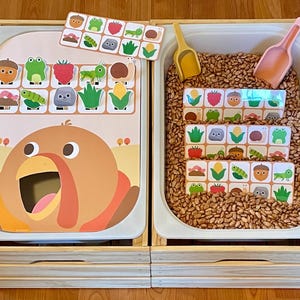 Puede incluir: Un contenedor sensorial de madera con dos compartimentos. Un lado presenta una gran ilustración de pavo y un juego de emparejamiento con tarjetas coloridas de alimentos e insectos. El otro lado está lleno de frijoles e incluye una cuchara y tarjetas de juego.