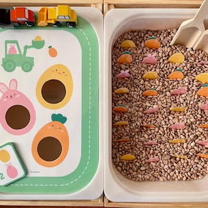 May include: A sensory bin with brown beans and colorful plastic toys, including bunnies, carrots, and pumpkins. A wooden tray with a green border and a number card with the numbers 1 and 2 is on the left. The tray has a picture of a truck, a tractor, and a bunny with a carrot.