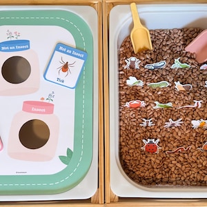 May include: A sensory bin activity set with two trays. One tray features a green and white insect-themed play mat with cards. The other tray contains brown beans, insect cutouts, and two small scoops.