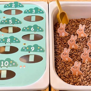 May include: A sensory learning activity with two white bins. One bin features a light green board with numbered cloud cutouts. The other bin contains brown beans and bunny-shaped number cards, along with a yellow and pink scoop.