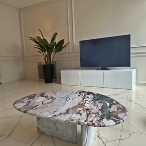 May include: An oval coffee table featuring a multi-colored marble top with veins of pink, grey, white, and dark green, supported by a matching marble base. The table is positioned in a room with a white television console and a large green plant.