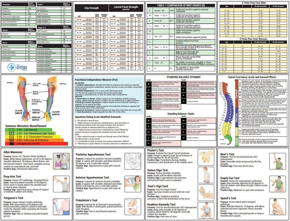 Occupational / Physical Therapy Quick Reference - Etsy