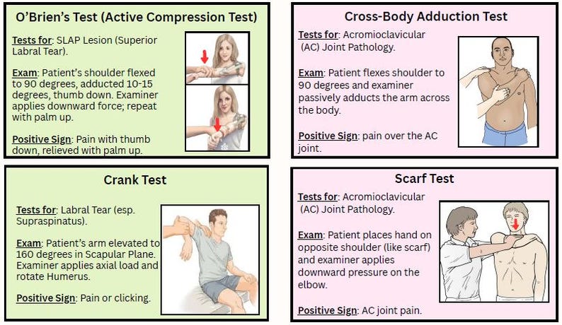 Occupational / Physical Therapy Shoulder Provocative Test Reference - Etsy