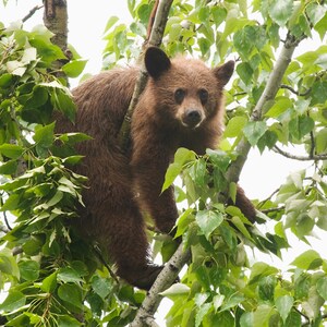 Just Hanging Out