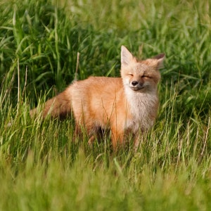 Enjoying the Sun