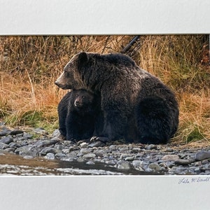 Bär Knuddel