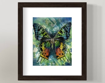Rainbow Sunset Moth Art Watercolor Giclee Print