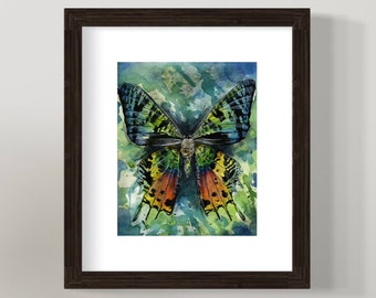 Regenboog Zonsondergang Mot Art Aquarel Giclee Print