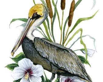 Pelican and Swamp Rosemallow - Carolinas Nature Giclée Print of Watercolor Painting