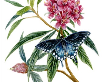 Swallowtail en Rhododendron - Carolinas Nature Giclée Print van aquarel