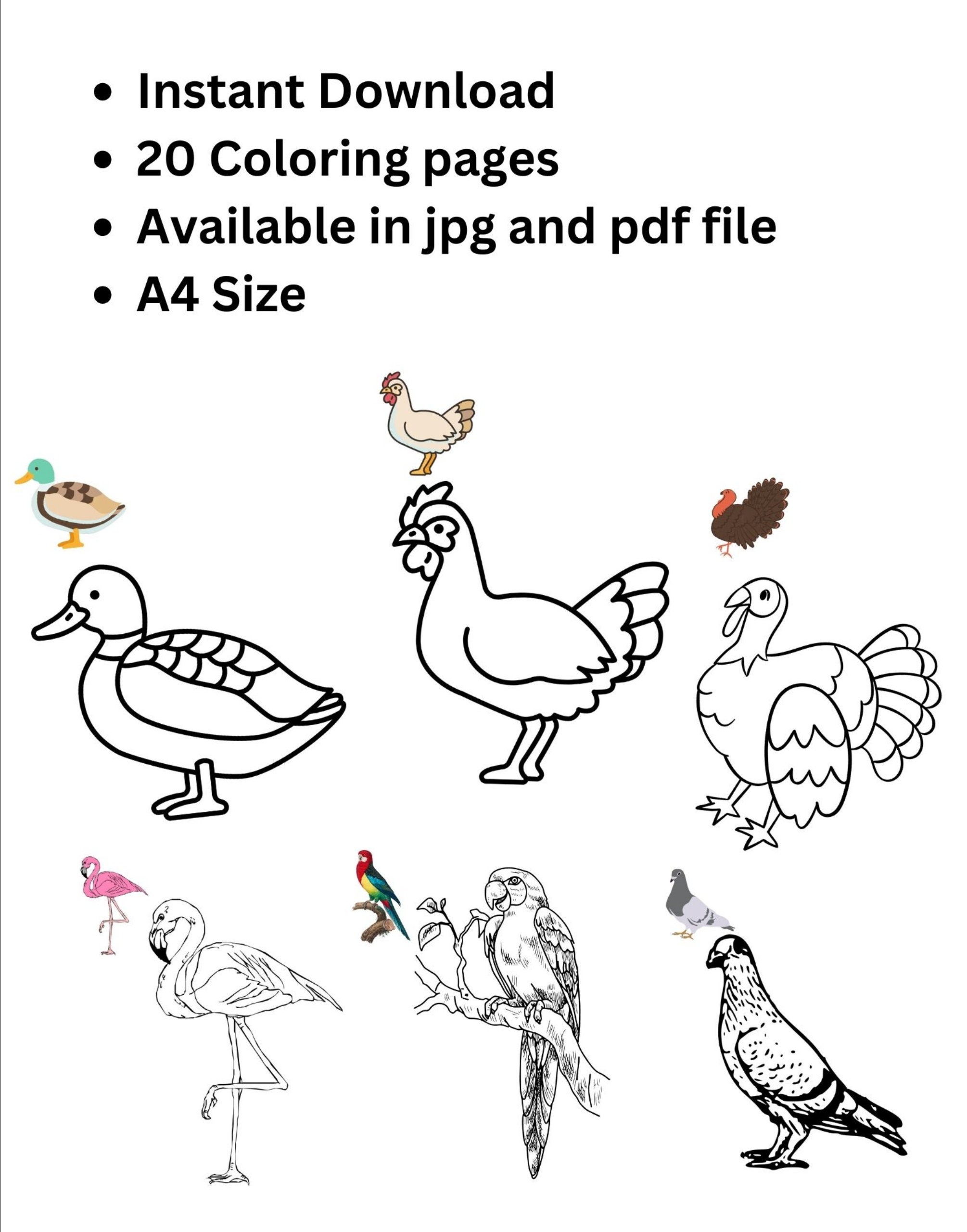 Printable Coloring Pages of Birds Coloring Pages for Kid's Available in ...