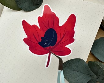 Black Cat on Red Maple Leaf Sticker | Cozy Fall Aesthetic Vinyl Sticker | Autumn Cat Lover Gift for Journals, Laptops & Water Bottles