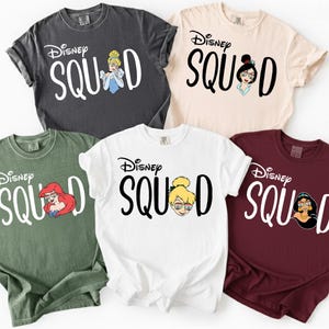 May include: Five different colored t-shirts with the text "Disney Squad" and Disney character illustrations. The shirts are in charcoal, beige, green, white, and burgundy. Each shirt features a different Disney princess.