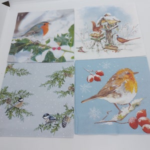 Set of 2 or 4 individual decoupage napkins. Birds robin winter craft napkin, for decoupage, scrapbook, mixed media, arts and crafts