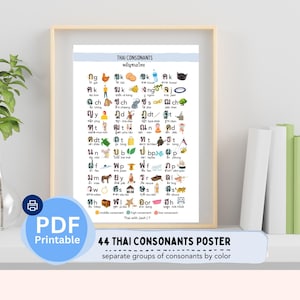 Póster imprimible de consonantes tailandesas / Letras tailandesas / Póster imprimible de idioma / Aprenda a leer tailandés / Alfabeto tailandés