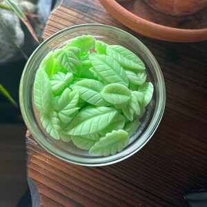 Wax Melts - Leaves