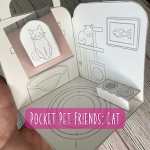 May include: A pop-up card with a cat theme. The card features a cat sitting on a scratching post, a bowl of food, and a picture of a fish. The text "POCKET PET FRIENDS: CAT" is printed on the front of the card.