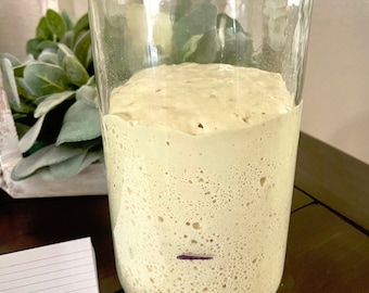 Live Sourdough Starter, Non-GMO