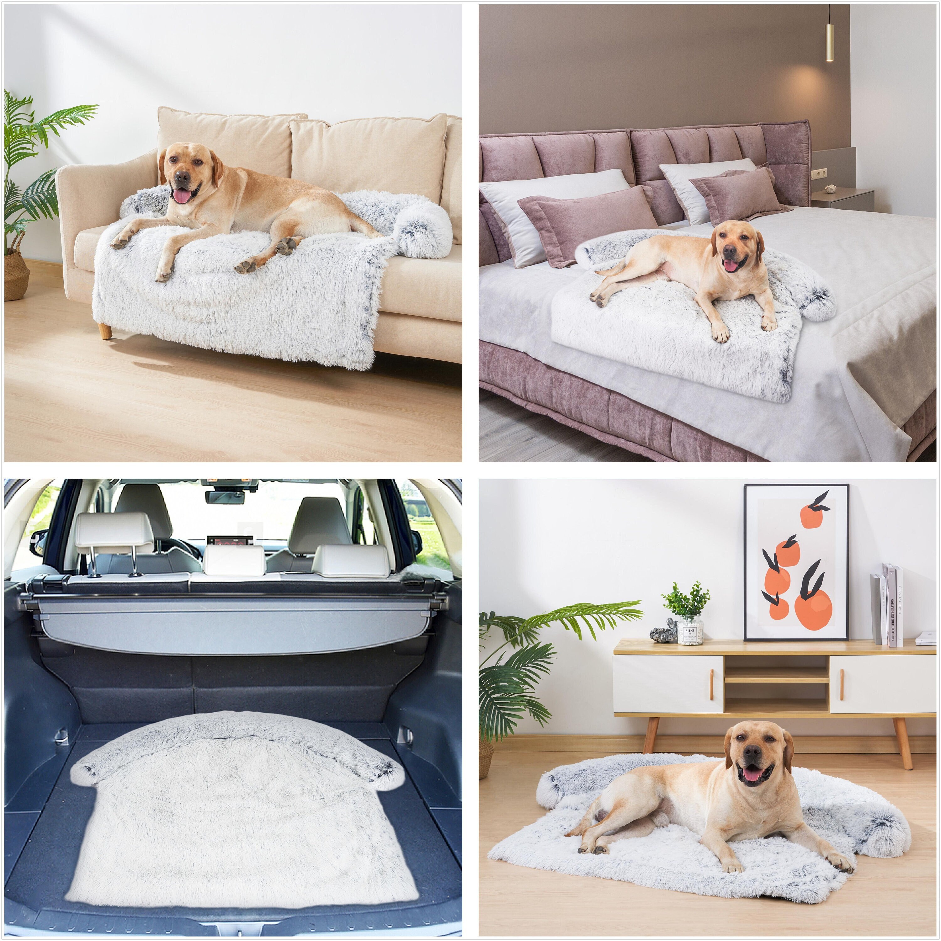 futon for dogs